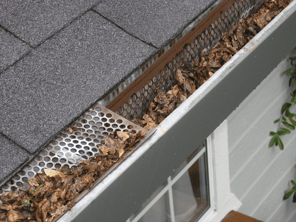 Debris Accumulation and System Blockages